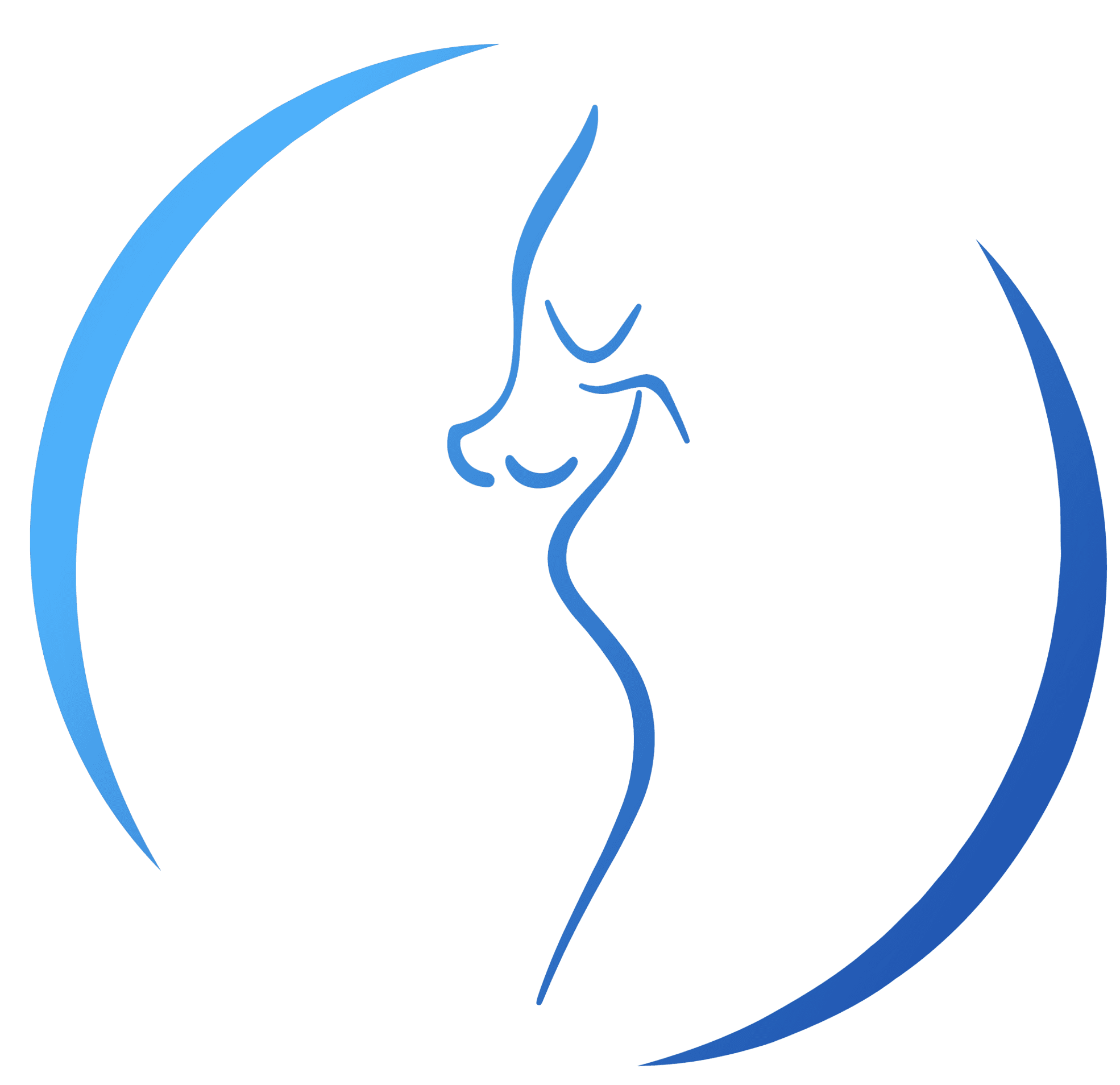 logo_dr